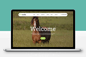 (自适应手机端)养马场畜牧业英文网站pbootcms模板 马匹饲养养殖场网站模板下载