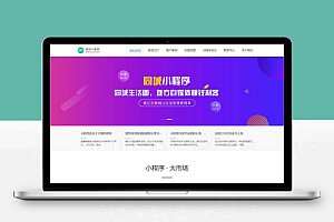 (PC+WAP)微信小程序开发代理展示销售pbootcms网站模板 软件开发公司网站源码下载